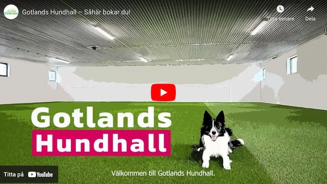 Hur bokar jag hallen?